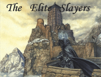 The Elite Slayers